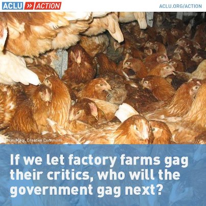 aclu-ag-gag