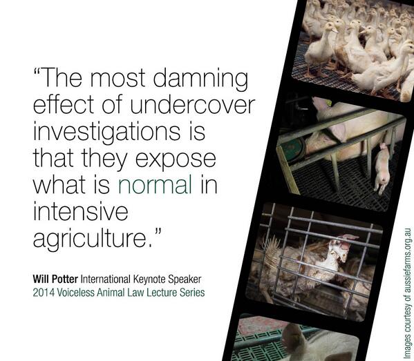 ag-gag-australia