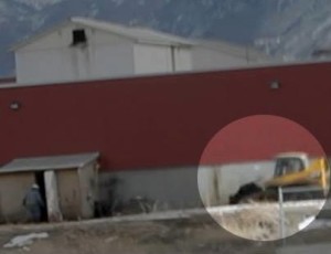 Video of a sick cow on bulldozer that lead to first ag-gag prosecution in Utah. Dale Smith Meatpacking Co.