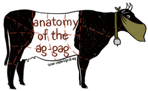 anatomy-of-ag-gag