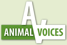 animal_voices