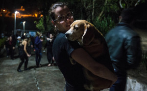 brazil-beagle-lab-rescue-12