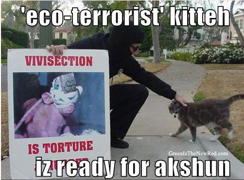 Eco-terrorist LOL Cat