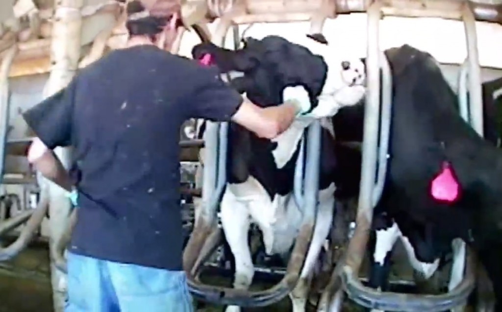 idaho-ag-gag-lawsuit