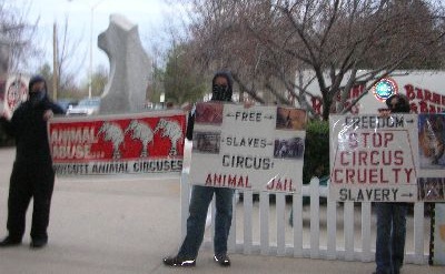 Masks at Ringling Protest