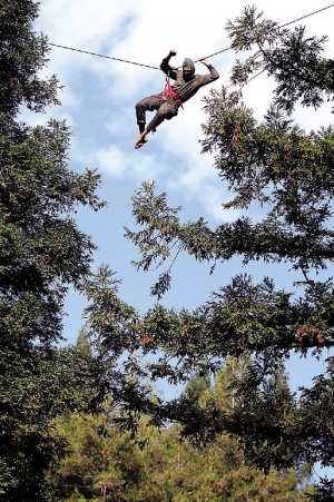 Tree Sitter UCSC