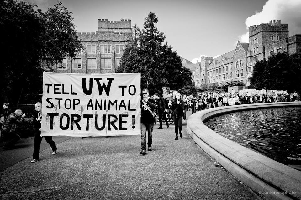 university-washington-animal-lab-march