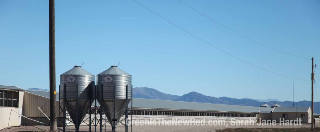 utah-circle-four-farm-1