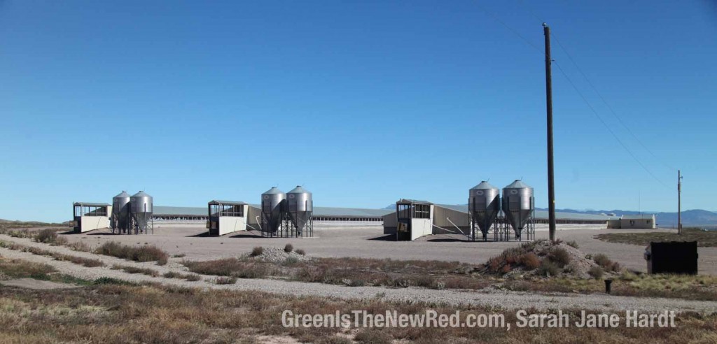 utah-circle-four-farm-2