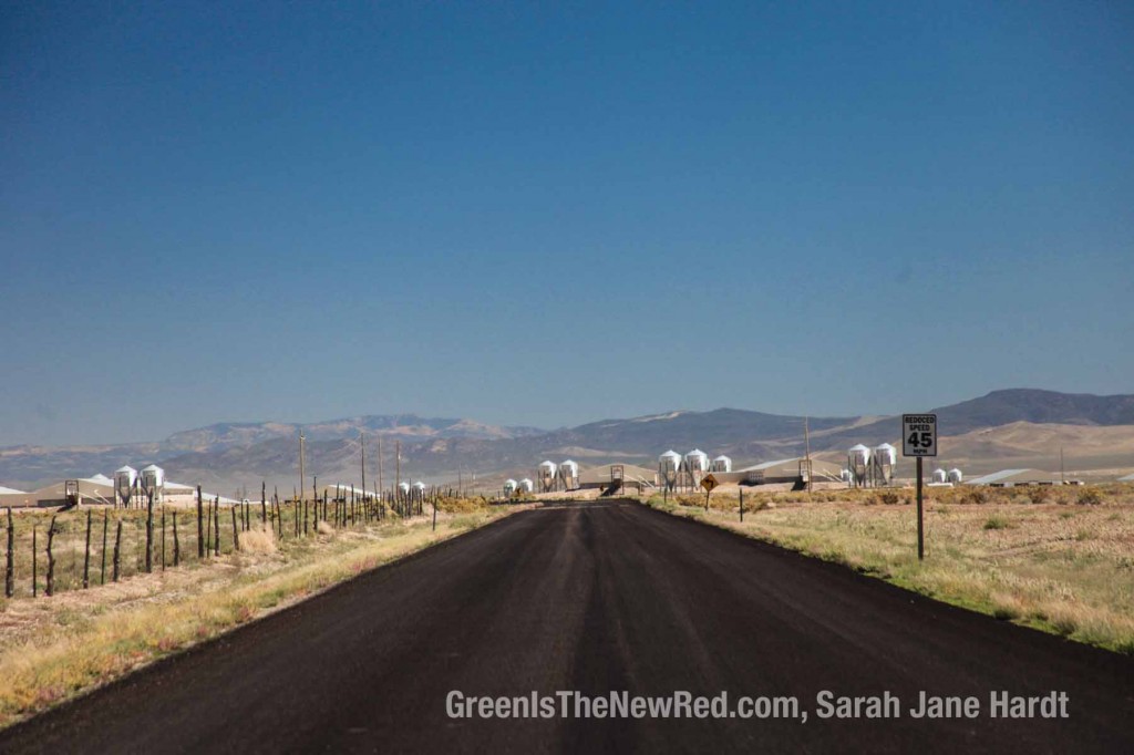 utah-circle-four-farm-5