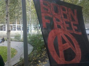 born-free-grand-jury-resister-banner